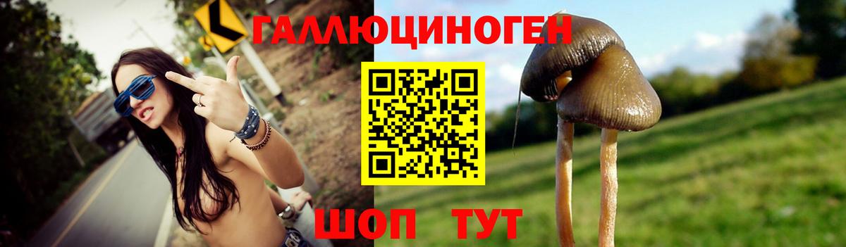 Стрежевой  Галлюциногенные грибы GOLDEN TEACHER  Галлюциногенные грибы Cubensis  Вход с VPN 